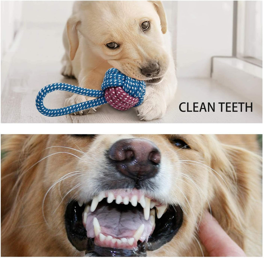 7-Pack Adorable Small Dog Toys - Durable Chew Ropes, Squeaky Calf Toys, Safe for Puppies!