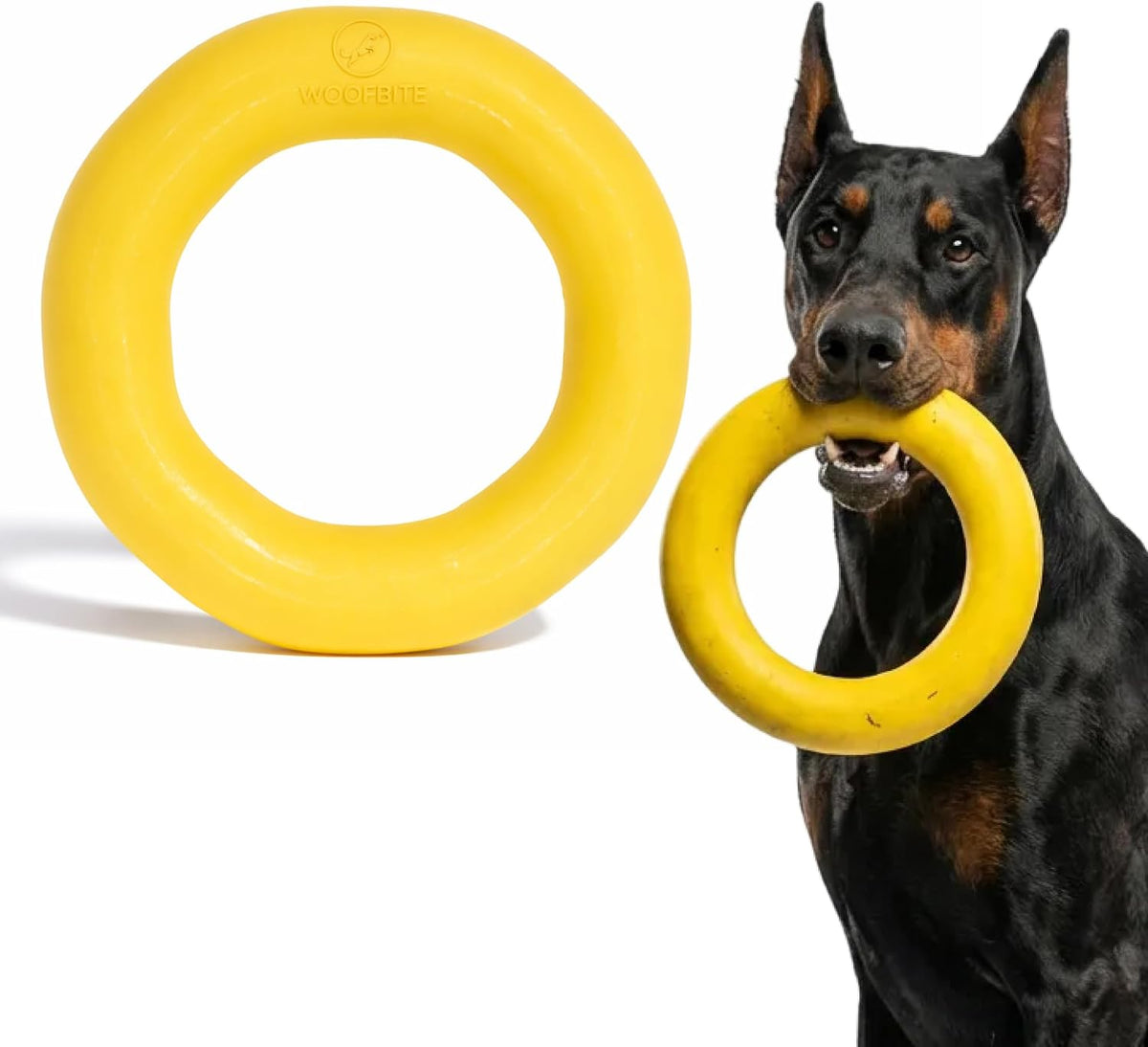 Giant XL Indestructible Dog Ring - Lifetime Replacement Tough Toy for Aggressive Chewers - Safe Natural Rubber - Perfect for Chewing, Tugging, and Fetching - 9"X2", 2.25Lbs