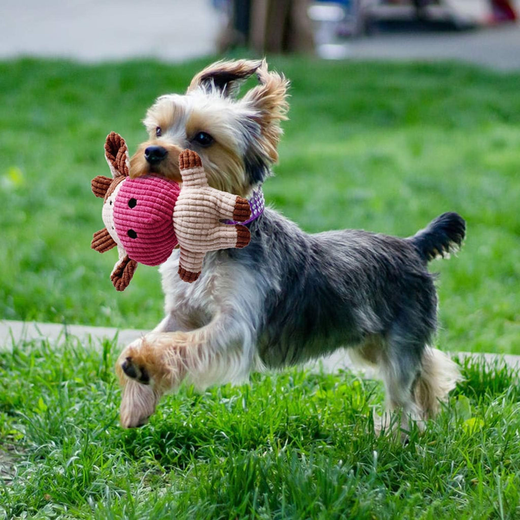 7-Pack Adorable Small Dog Toys - Durable Chew Ropes, Squeaky Calf Toys, Safe for Puppies!
