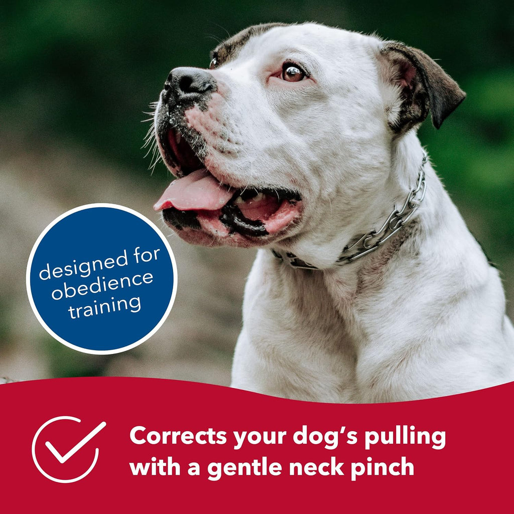 Chrome Plated Prong Dog Training Collar Ultra-Plus Pet Pinch Collar with Swivel No-Pull Collar for Dogs Made in Germany