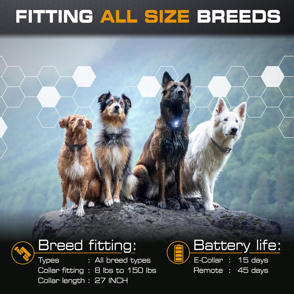 Ultra K9 Dog Shock Collar, 124 Levels, Night Light, IP67 Waterproof (Black, 2 Dog)