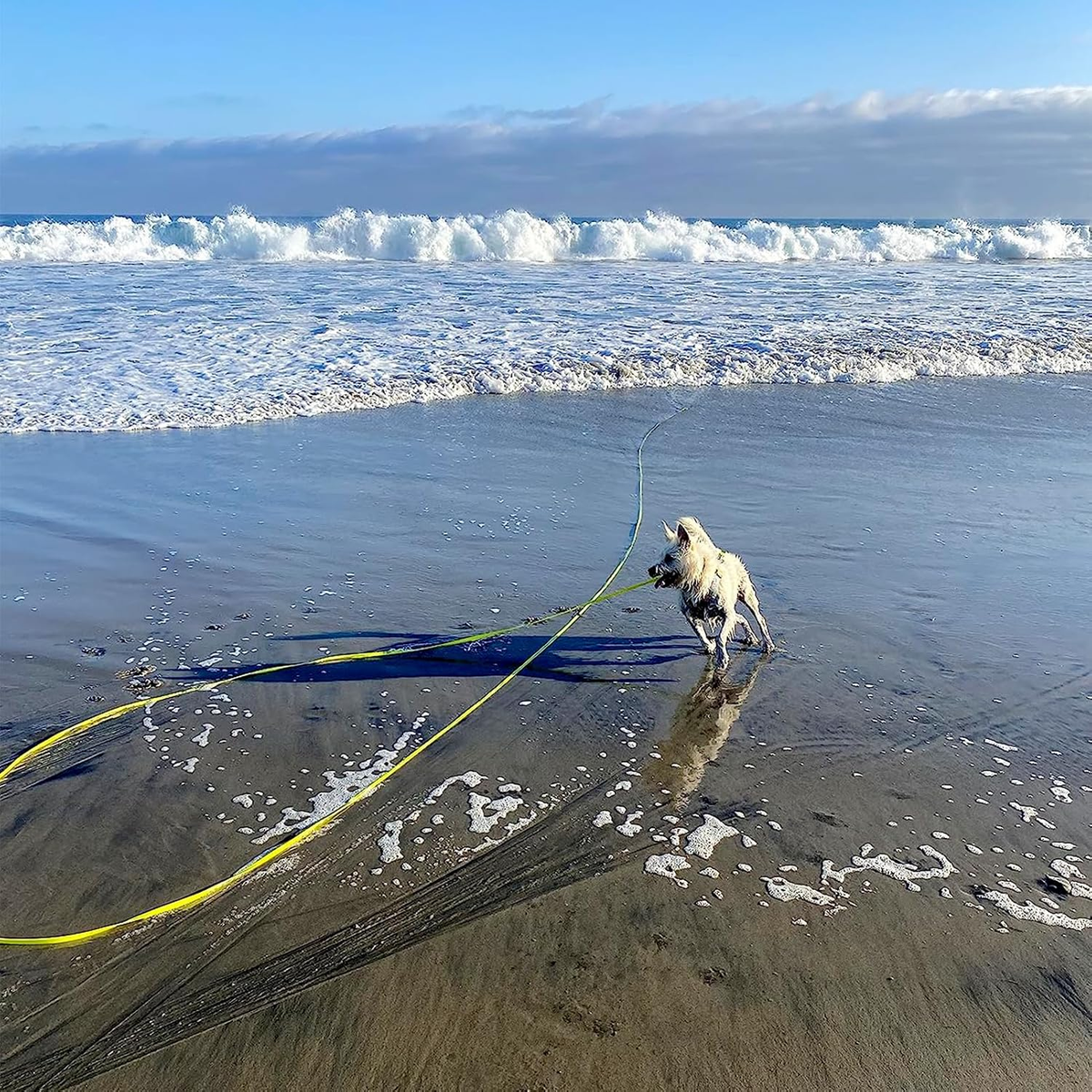 Long Waterproof Dog Leash - Odor-Proof Training Line with Aviation Aluminum Carabiner - 50FT for Small, Medium, & Large Dogs - Perfect Recall Tool!