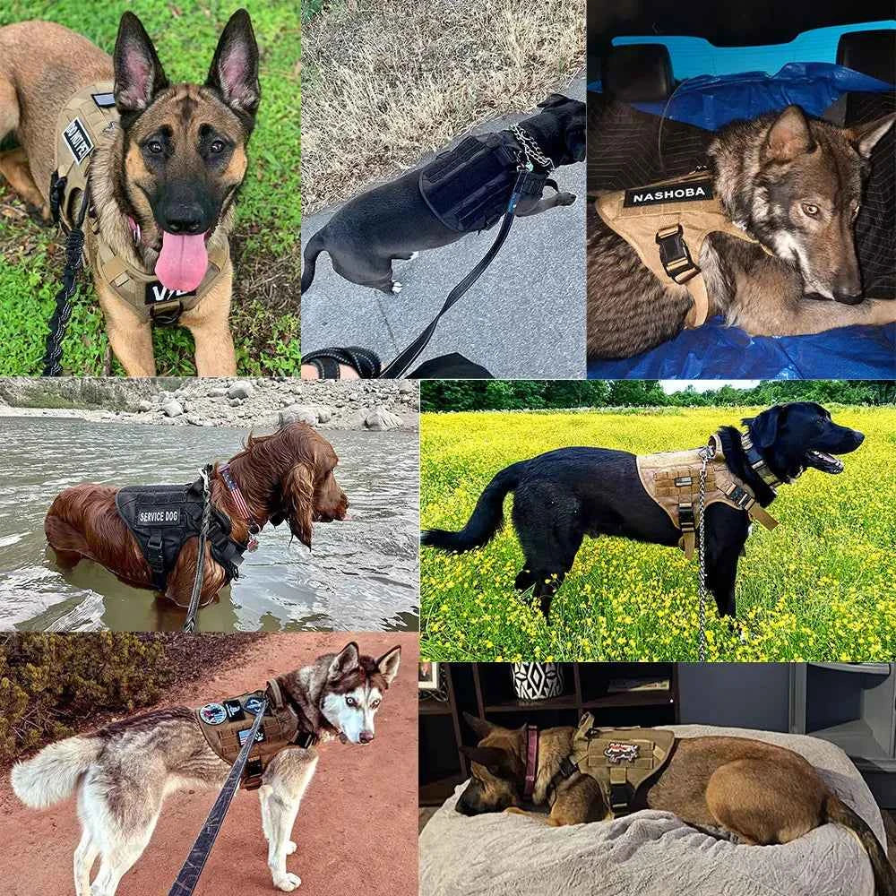 Heavy Duty No Pull Harness & Leash Set — Tactical Training Vest