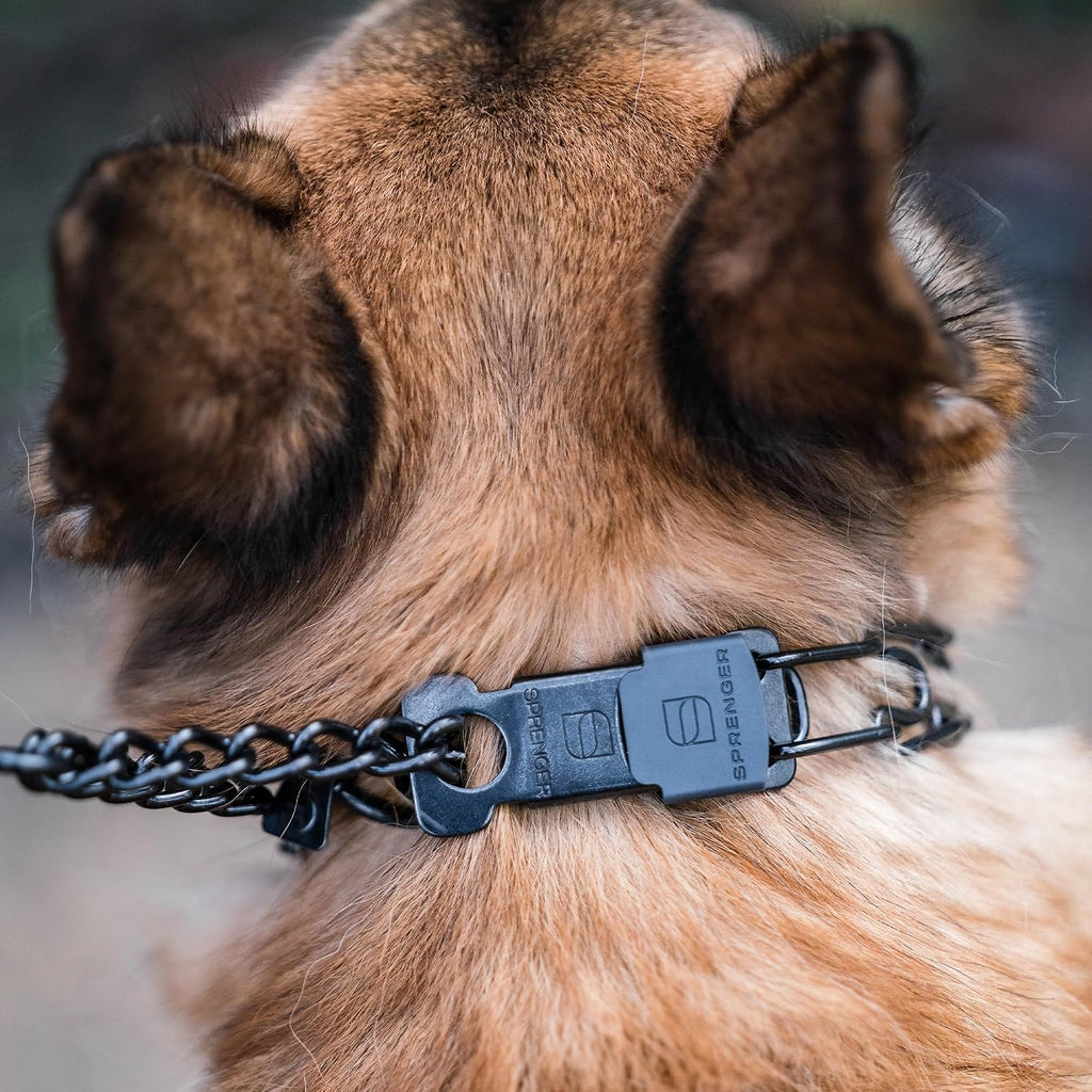 German-Made Black Stainless Steel Dog Collar with Quick Release Cliclock Buckle - 20" x 3.0mm (For Neck Sizes 16-17")