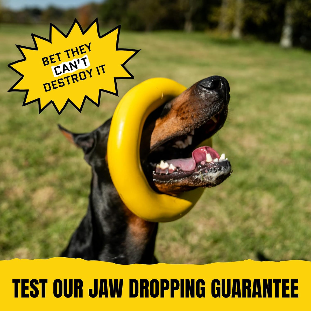 Giant XL Indestructible Dog Ring - Lifetime Replacement Tough Toy for Aggressive Chewers - Safe Natural Rubber - Perfect for Chewing, Tugging, and Fetching - 9"X2", 2.25Lbs
