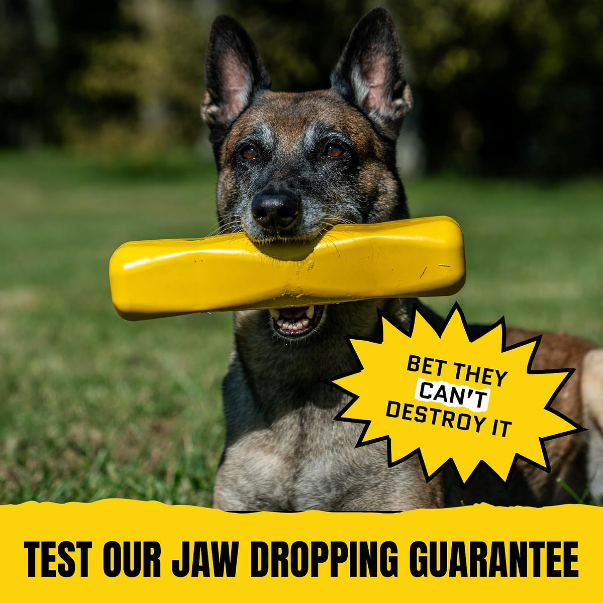 Giant XL Tough Dog Stick - Indestructible, Non-Toxic Chew Toy for Aggressive Chewers - Lifetime Guarantee - Heavy-Duty 12"x2.5" - Ideal for Tugging and Chewing