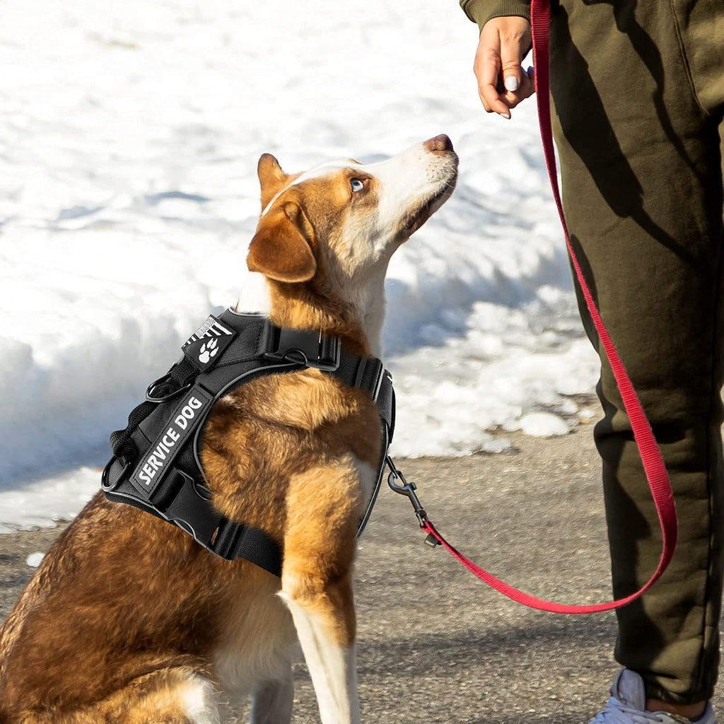 Service Dog Harness, Reflective Dog Vest Harness with 5 PCS Patches, Adjustable Soft Oxford Pet Harness, Inner Layer Mesh, Easy to Control for Dogs