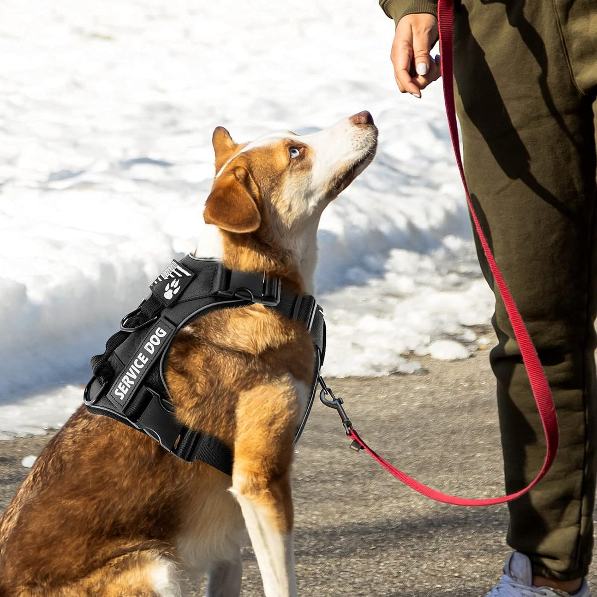 Service Dog Harness, Reflective Dog Vest Harness with 5 PCS Patches, Adjustable Soft Oxford Pet Harness, Inner Layer Mesh, Easy to Control for Dogs