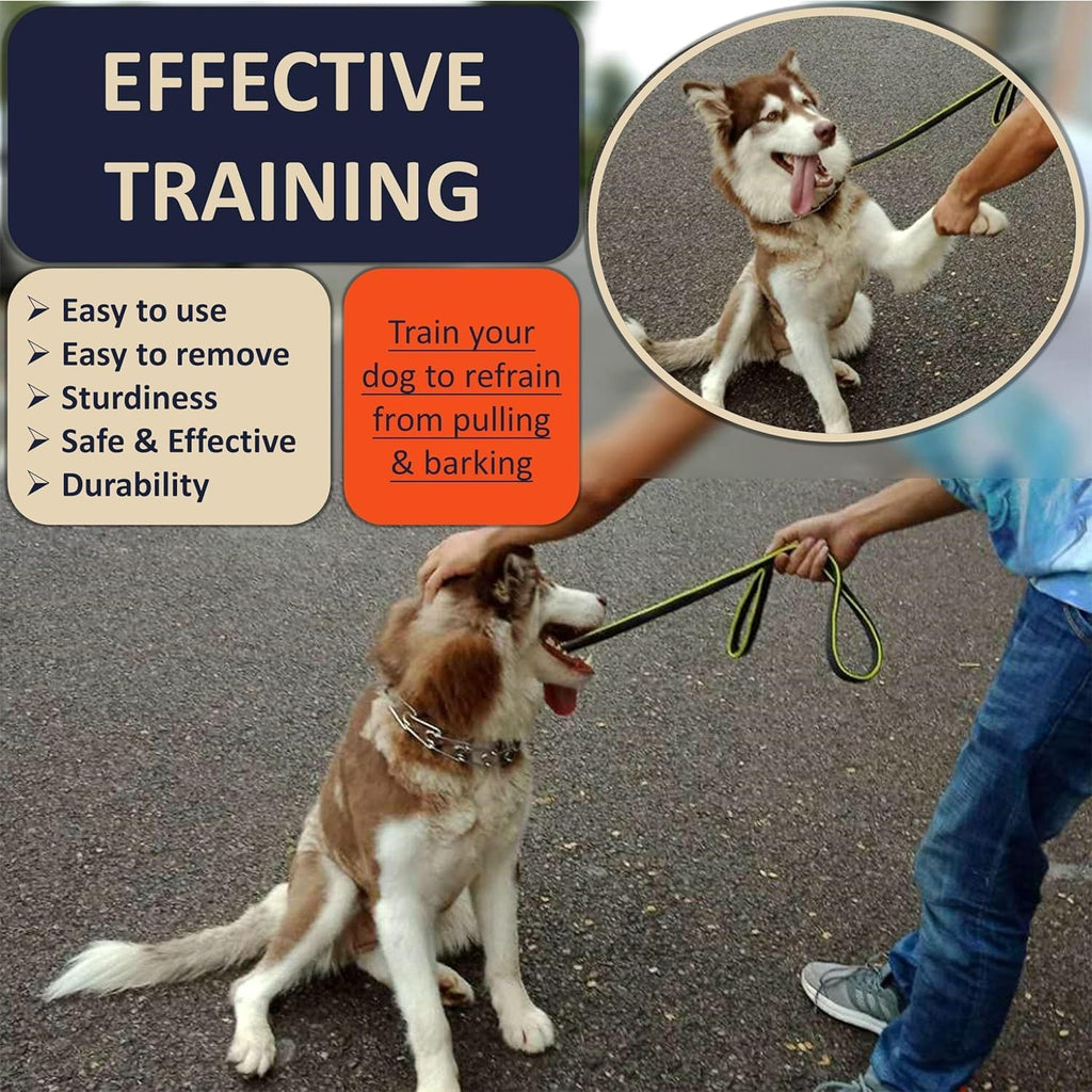 Quick Release Dog Training Collar Adjustable Stainless Steel Collar for Small Medium Large Dog (Black, S Neck Girth 11.2"-14.5")